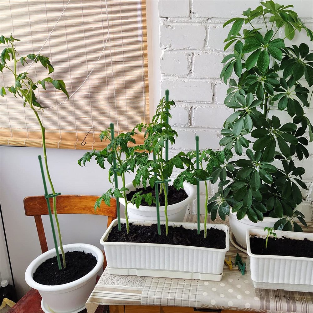 PlantSupport - Plante Vekst Støtte Sett Stativ