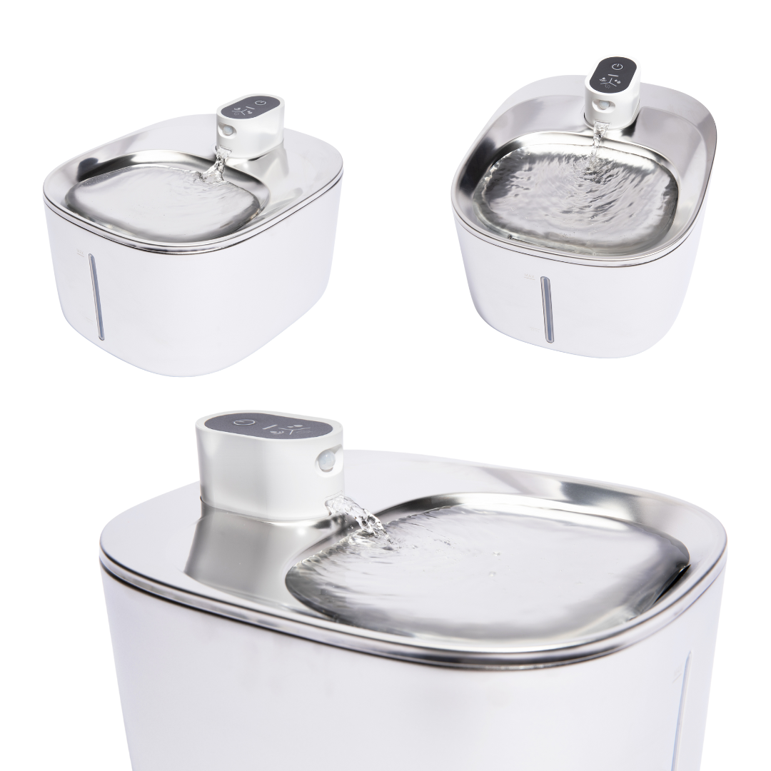 KissaVesi – Hiljainen 4L juoma-automaatti kissoille