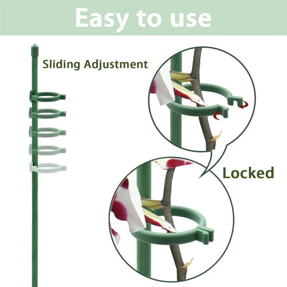 PlantSupport - Plante Vekst Støtte Sett Stativ