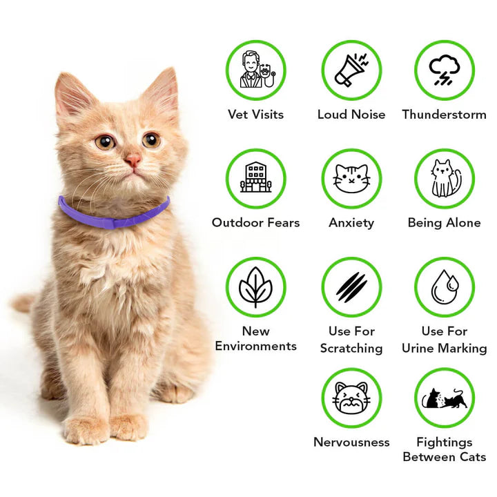 FurLife™ - Natural Pheromone Calming Collar for Cats