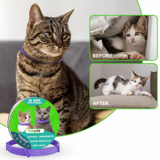FurLife™ - Natural Pheromone Calming Collar for Cats