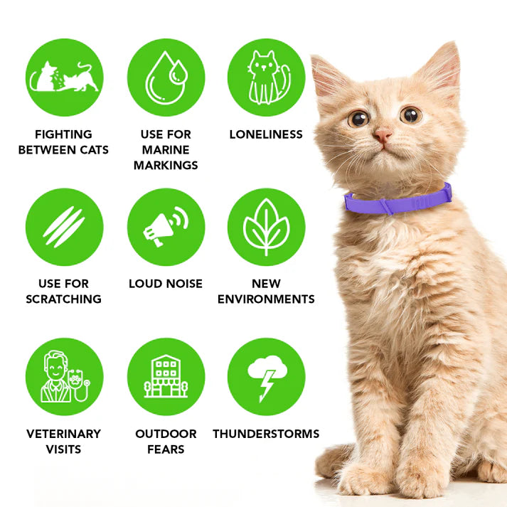 FurLife™ - Natural Pheromone Calming Collar for Cats