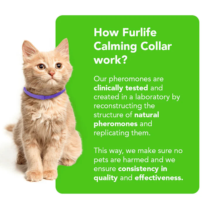 FurLife™ - Natural Pheromone Calming Collar for Cats